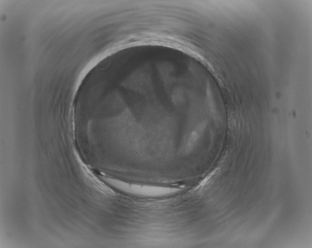 X0000071811522200607141557