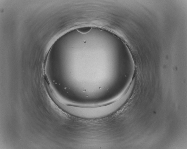 X0000071811524200607141557