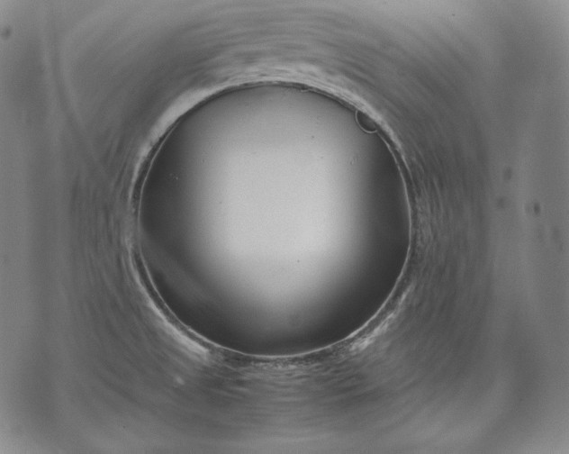 X0000071811525200607141557