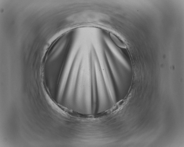 X0000071811526200607141557