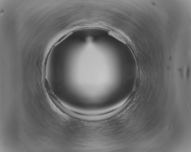 X0000071811528200607141557