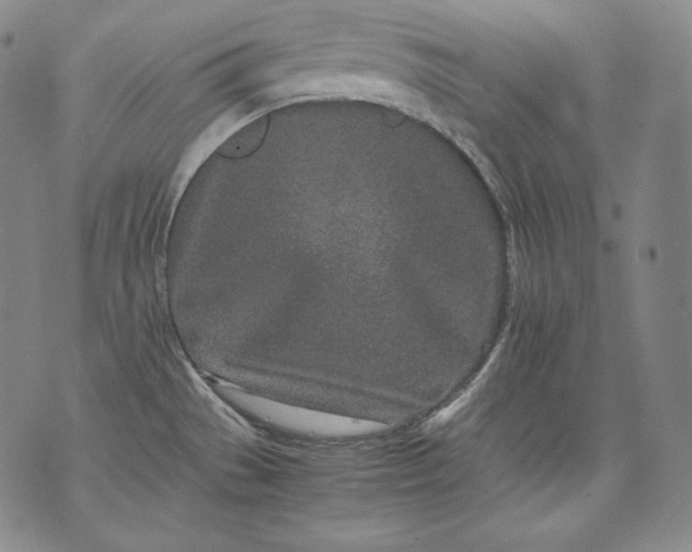 X0000071811529200607141557