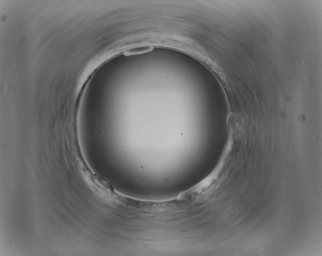 X0000071811530200607141557