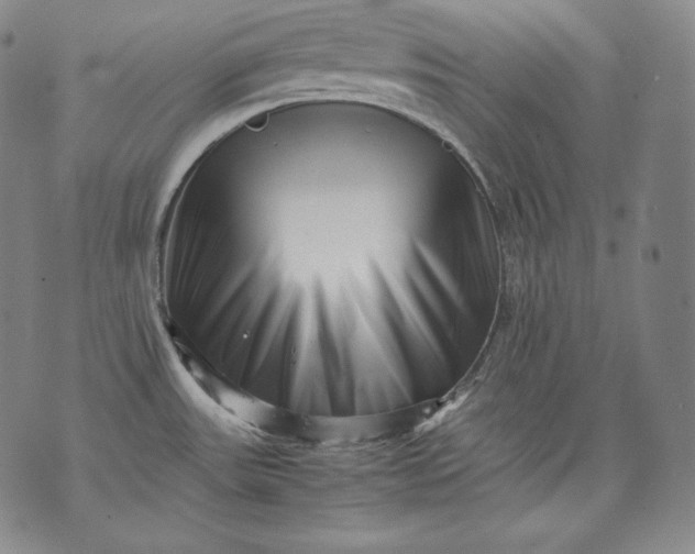 X0000071811531200607141558