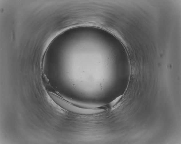 X0000071811532200607141558