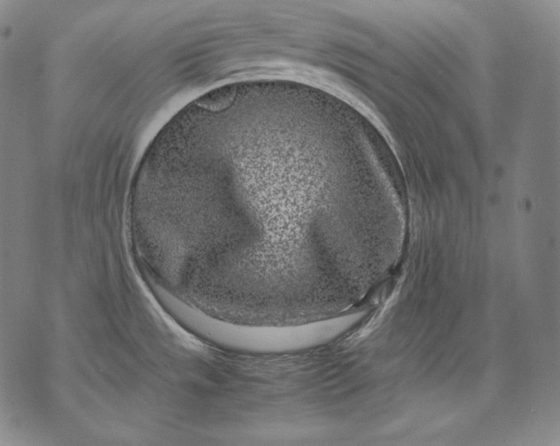 X0000071811533200607141558