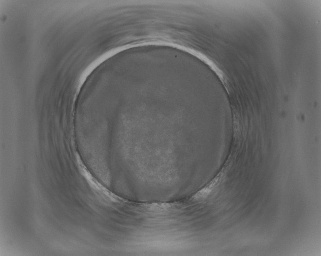 X0000071811534200607141558