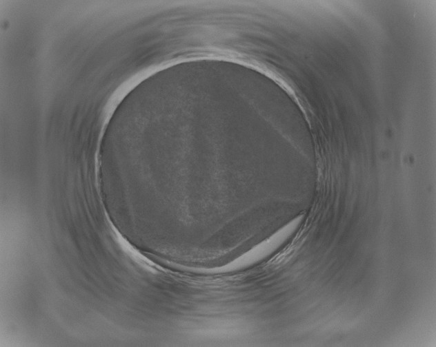 X0000071811535200607141558