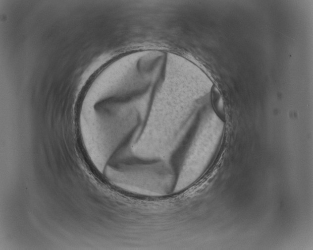 X0000071810008200607211723