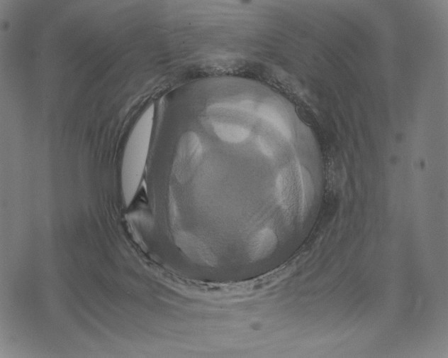 X0000071810027200607211723