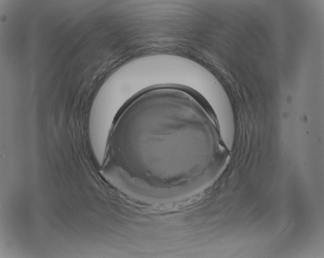 X0000071810031200607211723