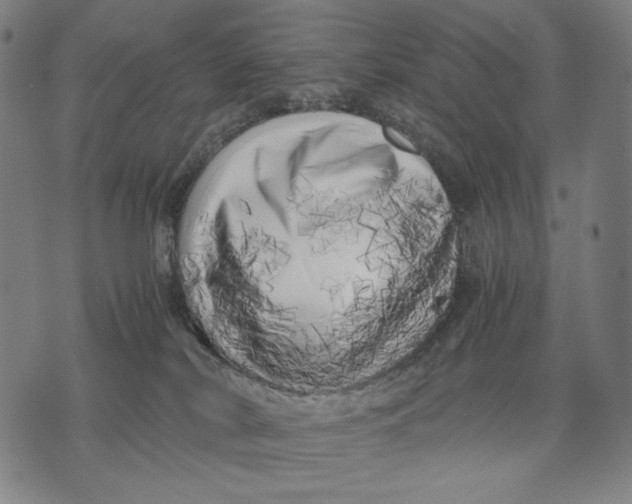 X0000071810038200607211723