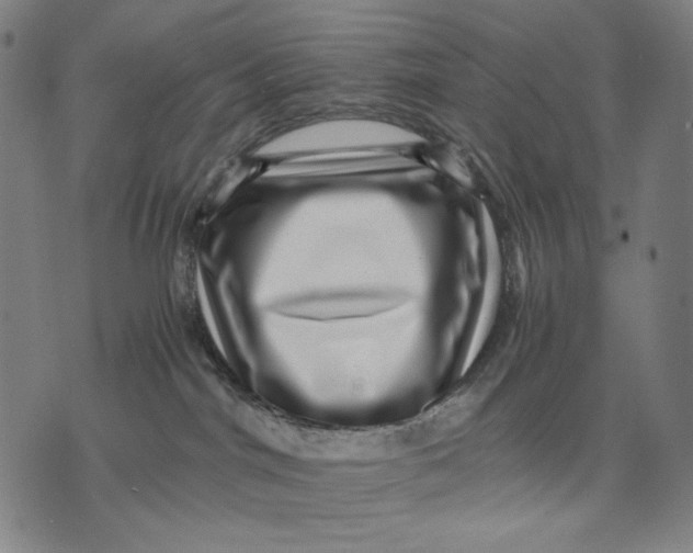 X0000071810044200607211723