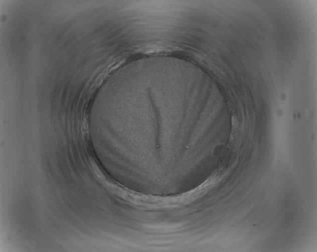 X0000071810048200607211723