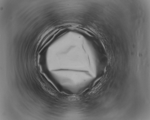 X0000071810050200607211722