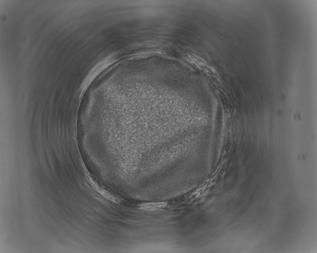 X0000071810051200607211722