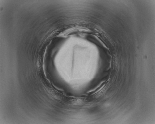 X0000071810074200607211722