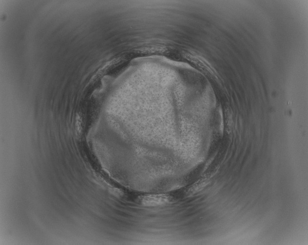 X0000071810077200607211722