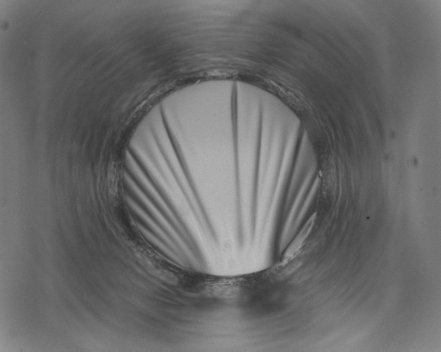 X0000071810078200607211722