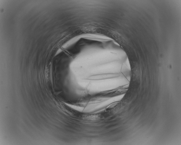 X0000071810081200607211722