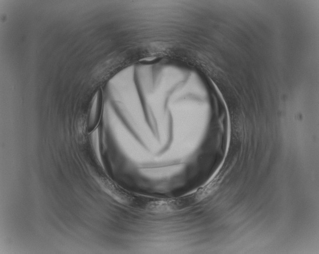 X0000071810082200607211722