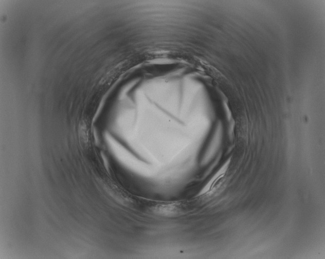 X0000071810086200607211722