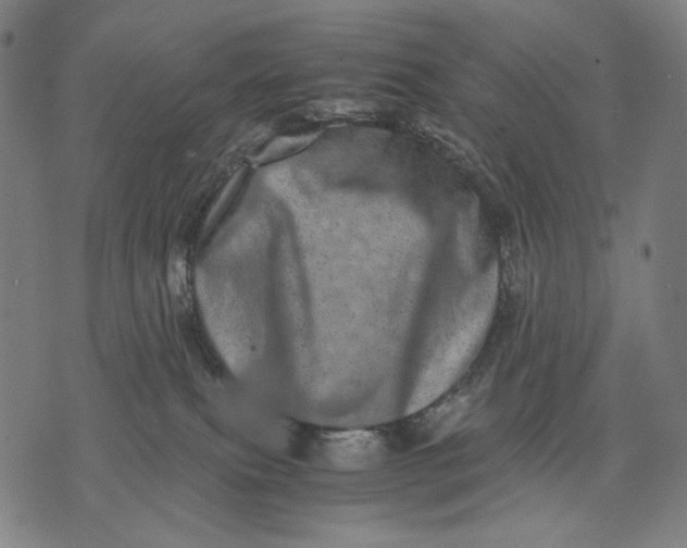 X0000071810087200607211722
