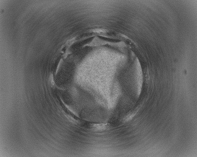 X0000071810089200607211722