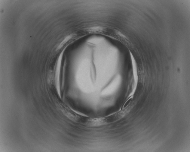 X0000071810093200607211722