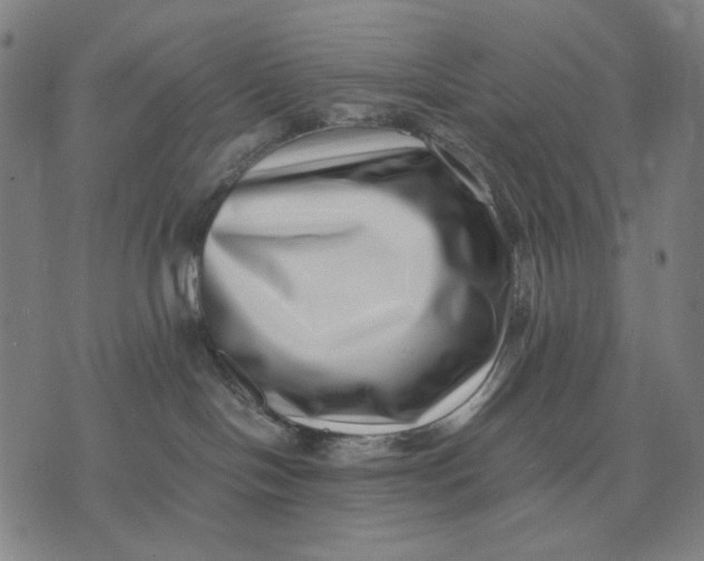 X0000071810094200607211722