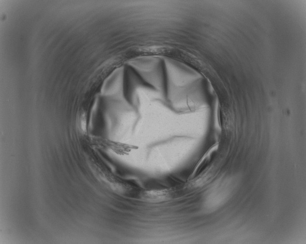 X0000071810095200607211722
