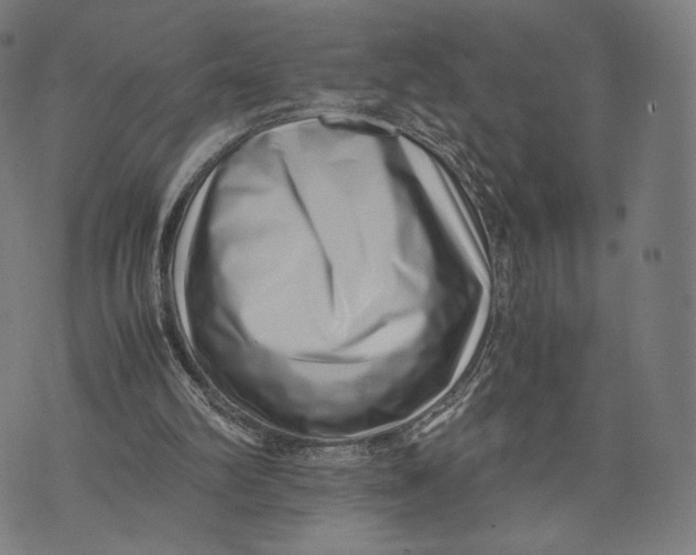 X0000071810102200607211722