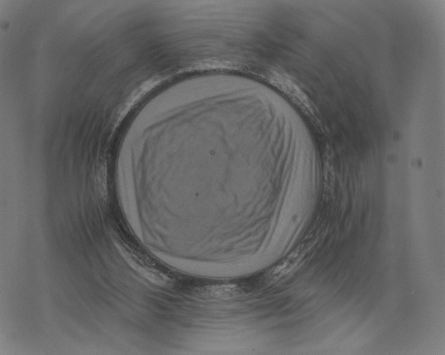 X0000071810108200607211722