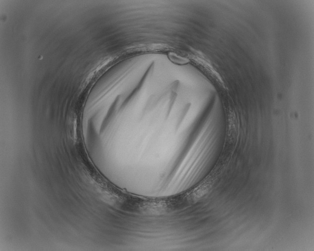 X0000071810110200607211722
