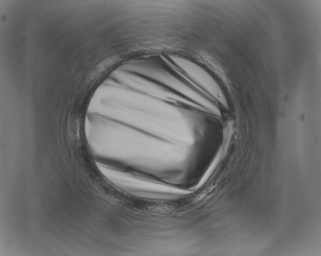 X0000071810115200607211721