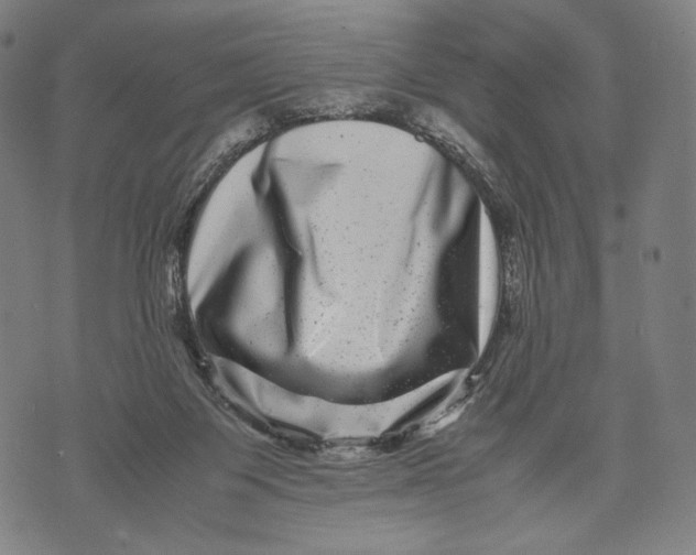 X0000071810119200607211721