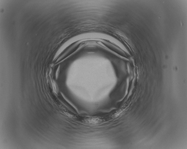 X0000071810121200607211721