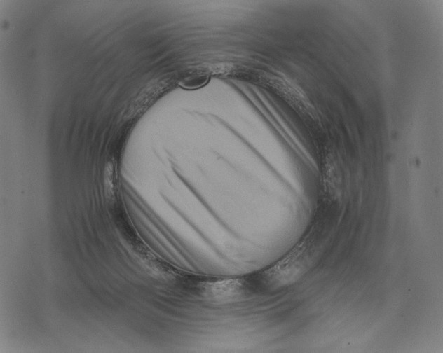 X0000071810122200607211721