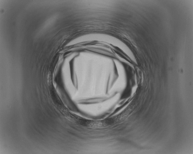 X0000071810123200607211721