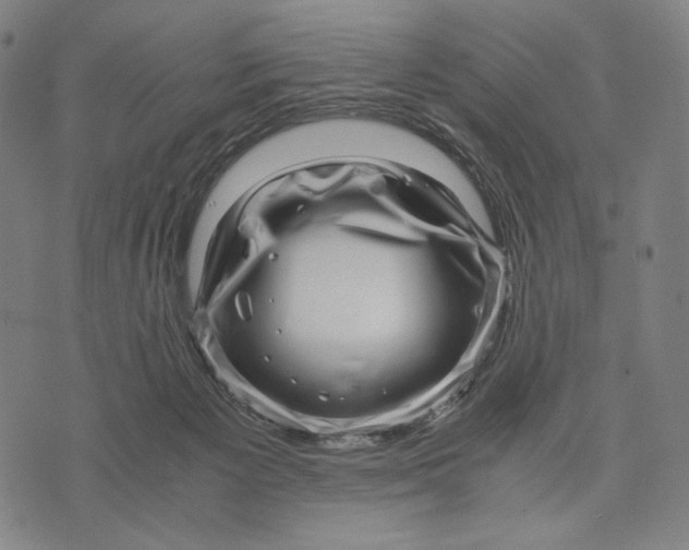 X0000071810125200607211721