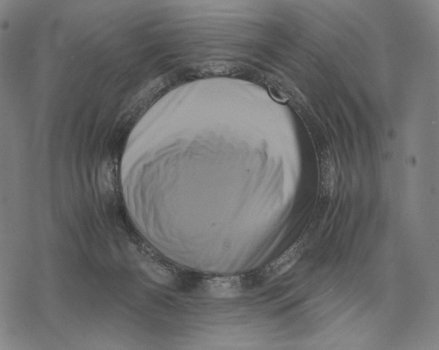 X0000071810126200607211721
