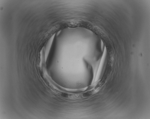 X0000071810129200607211721