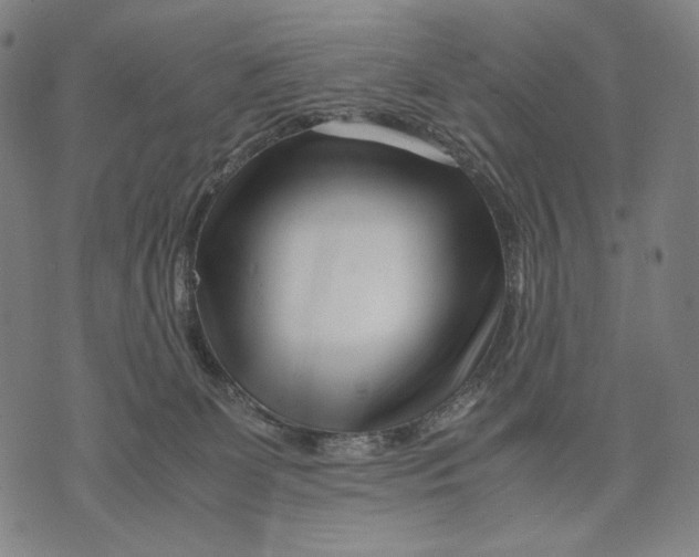 X0000071810131200607211721
