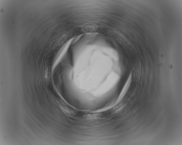 X0000071810134200607211721