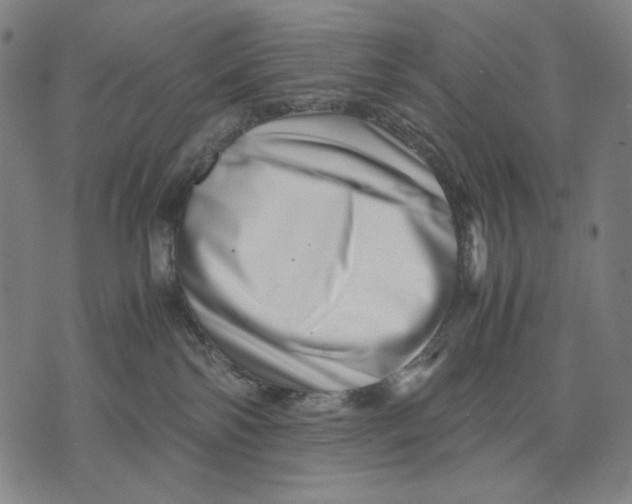 X0000071810138200607211721