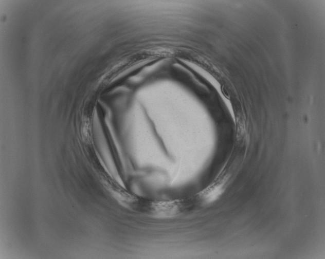 X0000071810141200607211721