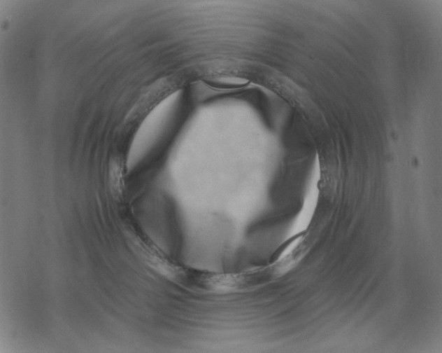 X0000071810142200607211721