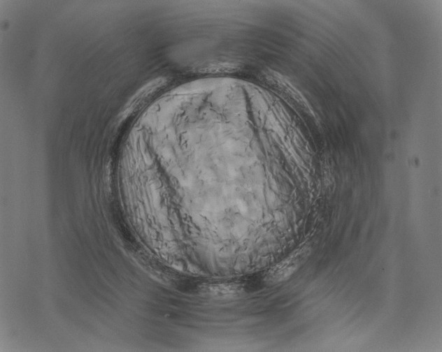 X0000071810163200607211720