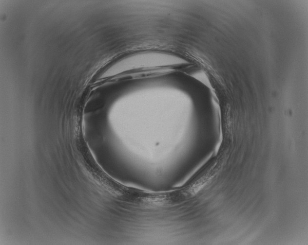 X0000071810164200607211721