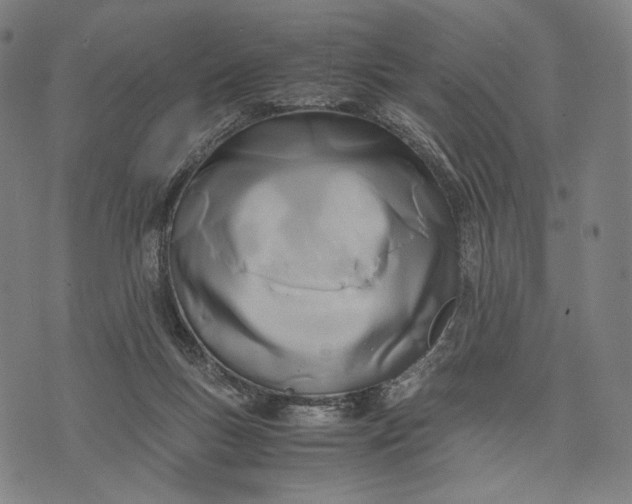 X0000071810167200607211721